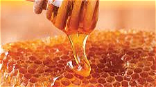 آذربایجان غربی مقام اول كشوري را از لحاظ تعداد كندو و توليد عسل به خود اختصاص داد